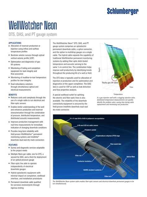 wellwatcher ultra|WellWatcher Neon DTS, DAS & PT Gauge System .